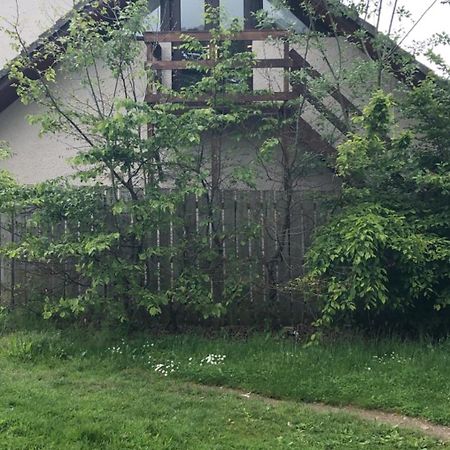 The Tree House Διαμέρισμα Ίνβερνες Εξωτερικό φωτογραφία